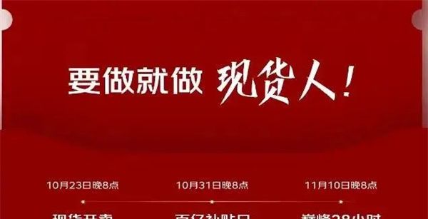 双十一活动攻略截图1